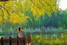 91麻豆精品国产专区-观察者之声，重构国产内容生态的91麻豆精品国产专区