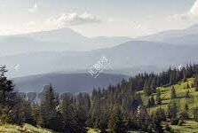 大象传媒影视app免费版-探索大象传媒影视app免费版的魅力与价值