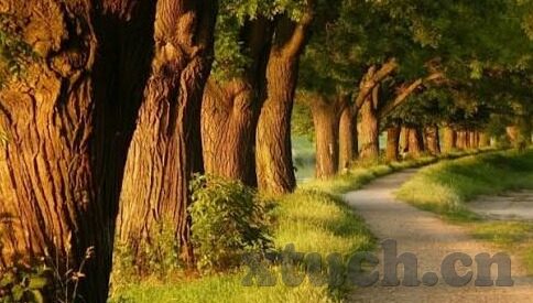 动漫伦理在线播放影视大全-动漫伦理，在线播放影视大全的多元视角