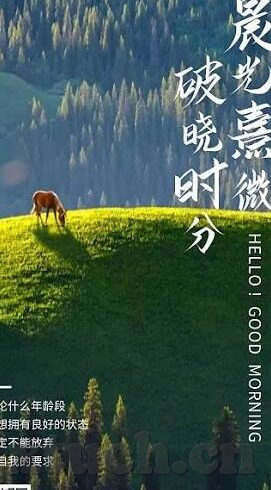 伦理在线-伦理在线，重塑网络空间的道德指南