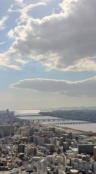 麻豆传媒app下载污-真诚探秘，寻找优质内容的正确路径