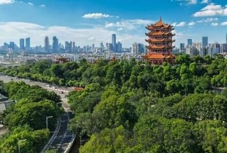 麻豆传媒免费在线-麻豆传媒的无价之谜，数字时代的视觉狂潮