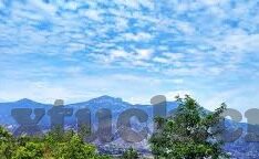 麻豆后入视频-尝试对麻豆后入视频现象及其背后的社会文化解析
