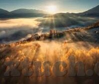 免费成人性视频-成人性视频，网络世界的灰色地带与法律边界