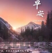 四虎精品成人免费视频-四虎精品，成人娱乐的多元视角与内容探索