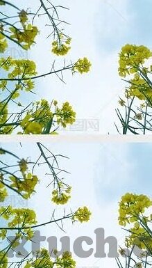 糖心直播app下载地址-关于网络直播的新奇探索，体验糖心直播的乐趣与安全性探讨
